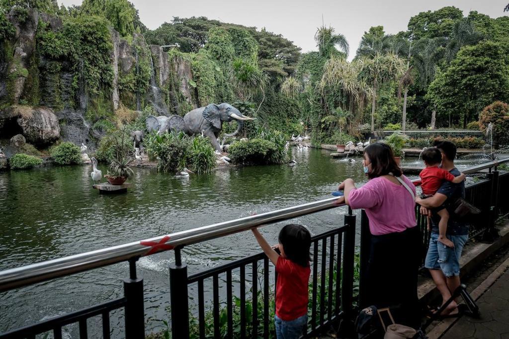 Libur Panjang: Kebun Binatang Ragunan Dibanjiri Lebih dari 30 Ribu Pengunjung