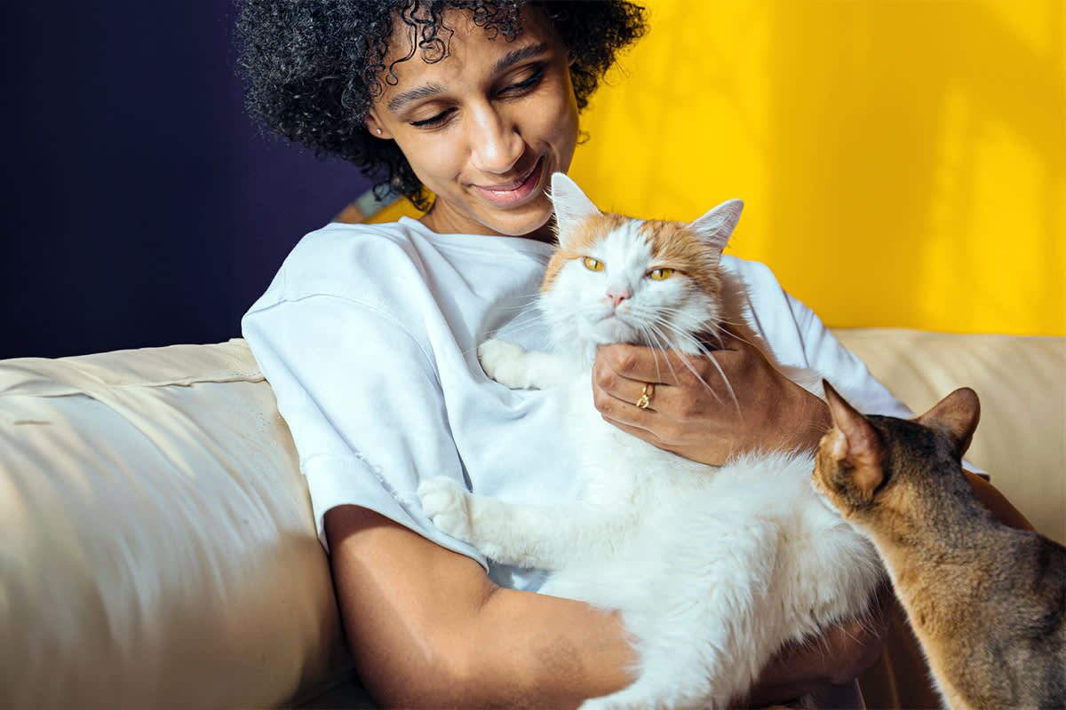 7 Fakta Unik Tentang Kucing yang Mungkin Belum Kamu Tahu